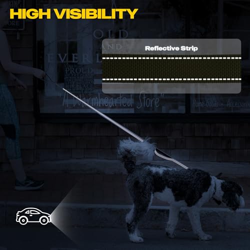 10 FT Heavy Duty Dog Leash (10 Feet (Pack of 1) / Green)