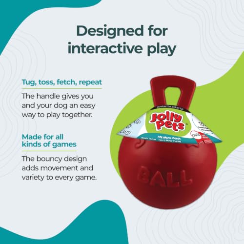 Tug-n-Toss Heavy Duty Dog Toy Ball with Handle, 8 Inches/Large, Red (408 RD) (Red / Large (8 in))