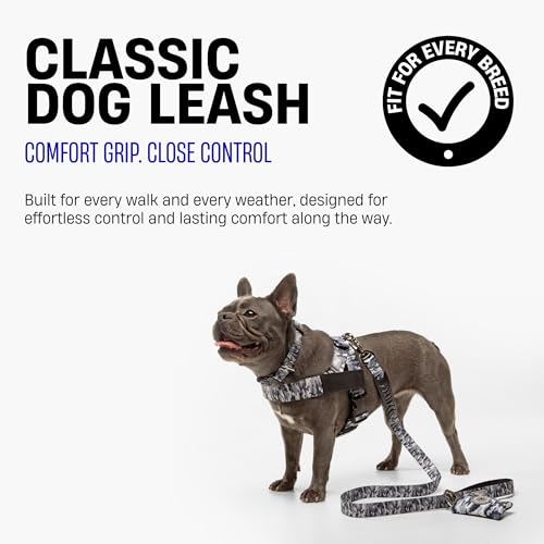 Classic Dog Leash (Sky Blue / Small)