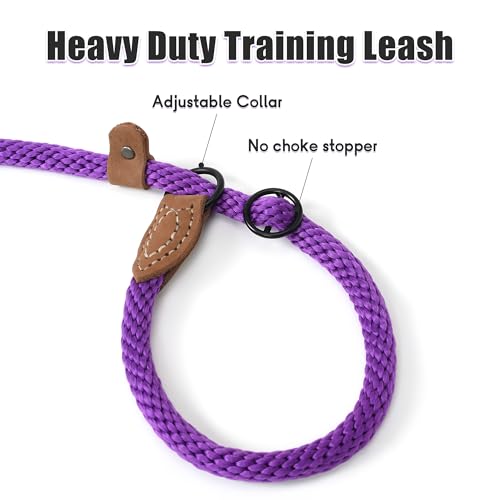 Heavy Duty Slip Lead No Pull Leash w Leather (Purple / 6 Feet)