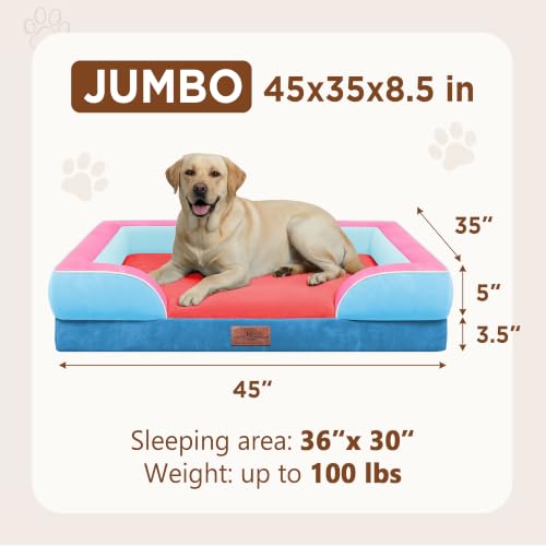 Orthopedic Dog Bed for Extra Large Dogs with Bolster (45.0"L x 35.0"W x 8.5"Th / Atlanta)