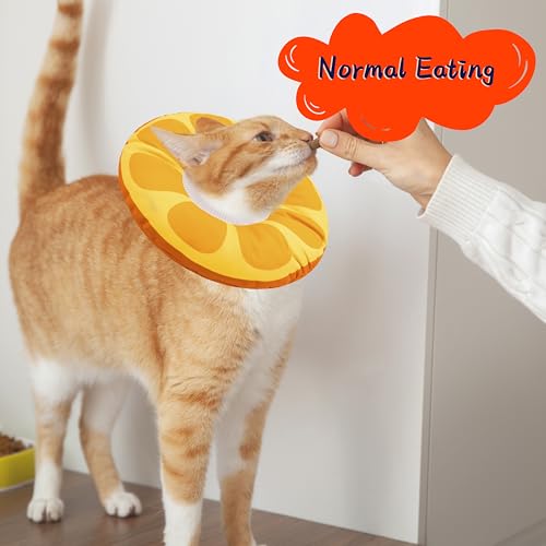 Cat Cone Collar Soft (Orange / Large)