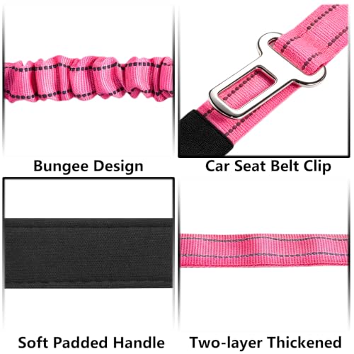 Bungee Dog Leash 5FT (Hot Pink / 5FT-6FT)