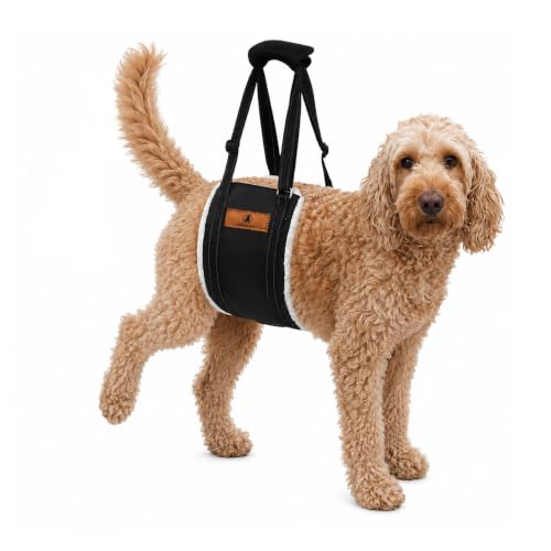 Dog Lift Harness (Large)