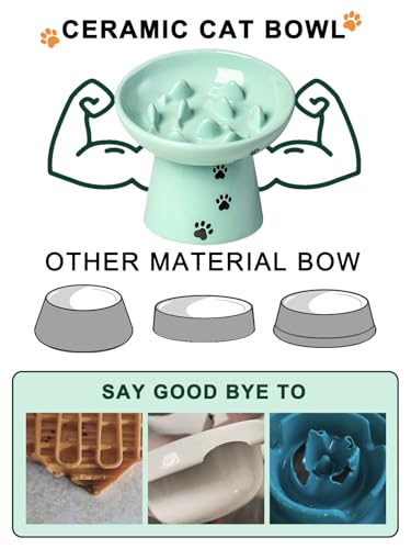 Slow Feeder Cat Bowl (Green)