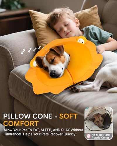 Inflatable Dog Cone (Lion / L+(11"-14"))