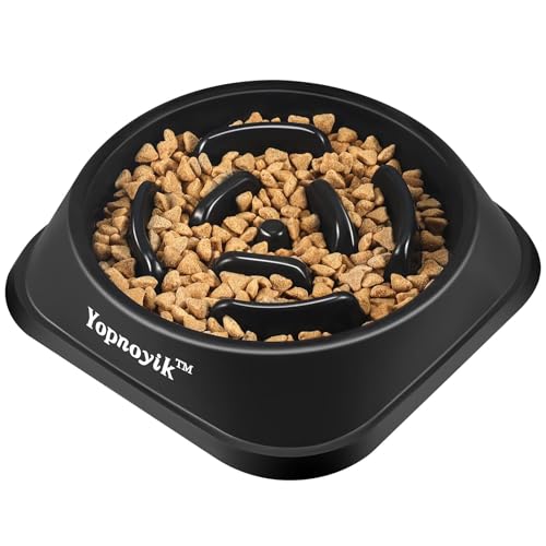 Slow Feeder Dog Bowls for Large Dogs (Large / Black)