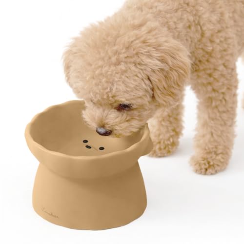 Elevated Dog Bowls (Brown)