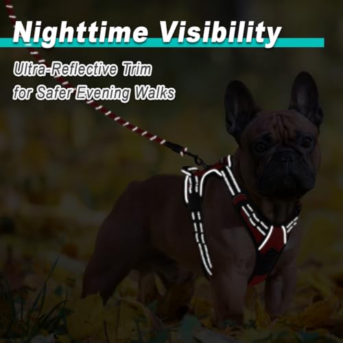 Dog Harness for Small Sized Dog No Pull 2 Leash Clips Dog Vest (X-Small / Red)