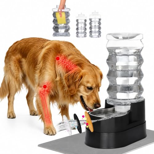 8L Elevated Dog Water Dispenser (8L / Black)
