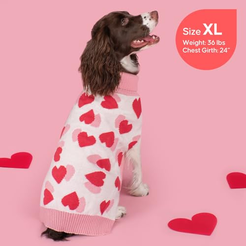 Valentines Dog Sweater (2XL (35-60lbs) / Valentine)