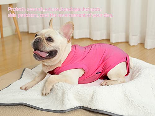 Dog Surgery Recovery Suit (S(Back9 - 12" Chest14 - 17" Weight 8.5 - 15lb) / Rose)