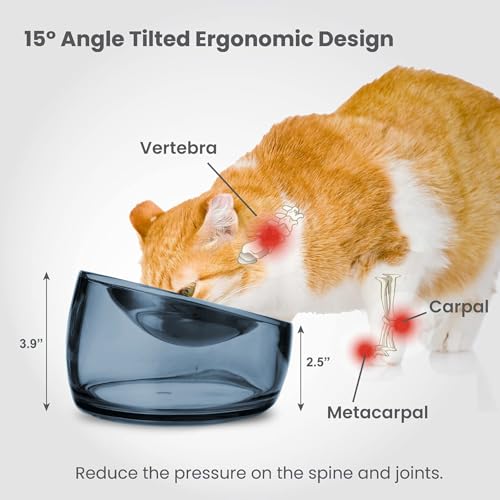 Pet Oblik Whisker Fatigue Cat Food Bowl Raised Stainless Steel Shallow Dish (Shadow / 0.5 Cups Shallow Dish)