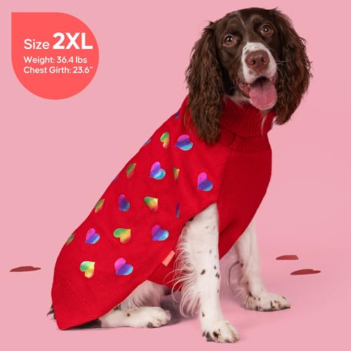 Valentines Dog Sweater (2XL (35-60lbs) / Heart (Red))
