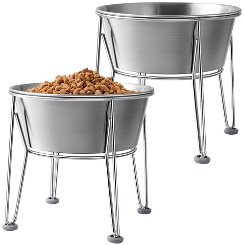 Elevated Dog Bowls for Large & Medium Dogs (8 Cups / Raised Bowl)