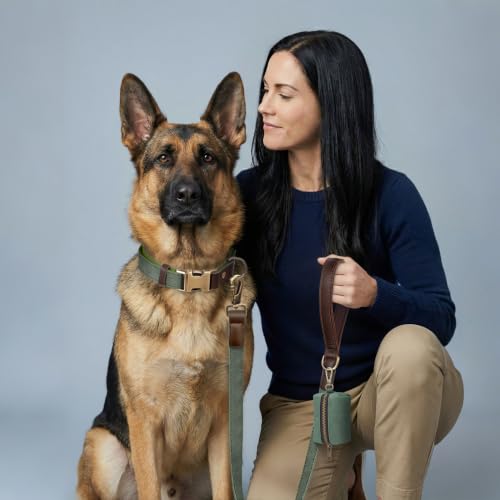PU Leather Dog Leash for Large Dogs (Green / 1"x 6FT)