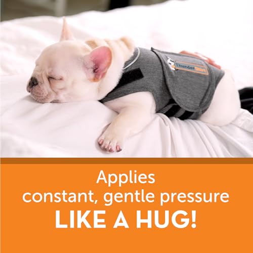 for Dogs Calming Anxiety Vest - PetSolution