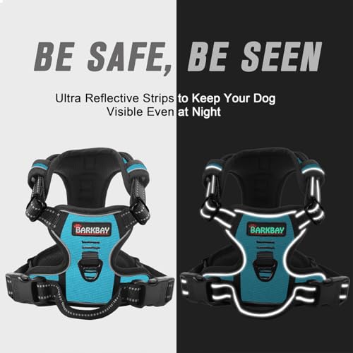 Dog Harness No Pull for Small Sized Dog Front Back Clips (X-Small(Chest:15.5-19.5”) / Blue)