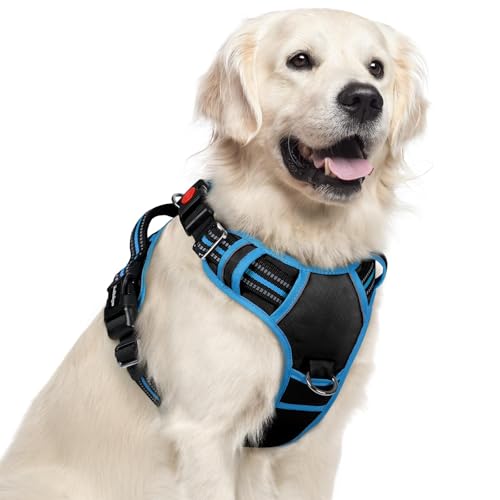 Dog Harness for Large (Black & Blue / X-Large)