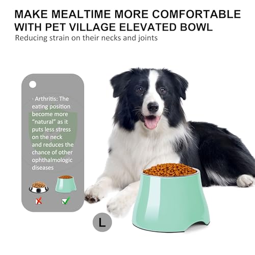 Dog Bowls Cone Friendly Non (Large(3 Cups) / Mint Green)