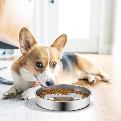 Stainless Steel Slow Feeder Dog Bowls