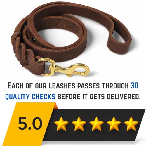 Leather 2 Foot Dog Leash Brown (Brown / 2 FT)