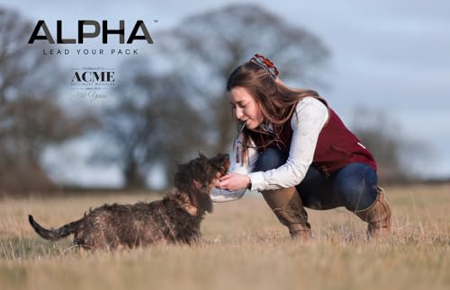 Alpha 210.5 Professional Dog Training Whistle with Enhanced Ergonomic Grip. BPA (Baby Blue)