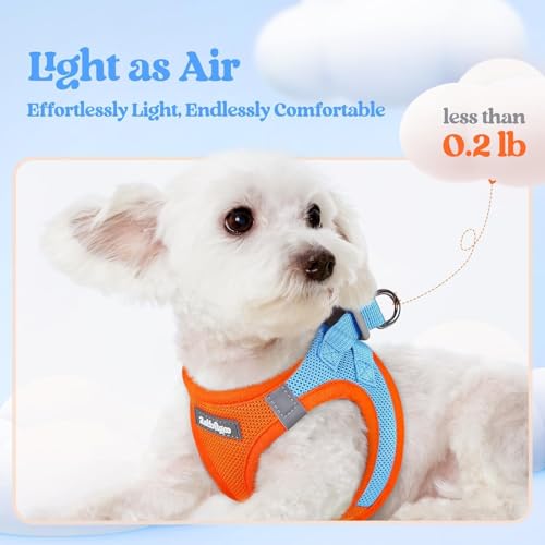 Dog Harness Medium Sized and Leash Set (Blue & Orange / Xxl (chest: 21.6 - 23.7"))