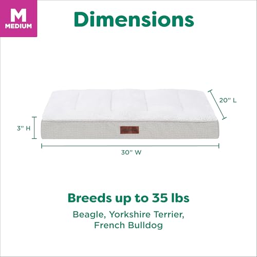 Orthopedic Dog Bed (Medium / Light Gray)