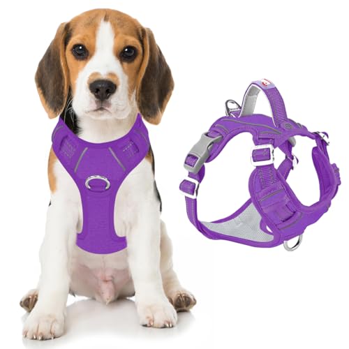 No Pull Dog Harness for Medium Sized Dogs (Medium(Chest:22.5-28") / Purple-Oxford)