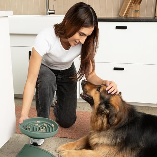 Slow Feeder Dog Bowl (Spruce - Rainbow Design / Large (9.5” Across and 1.5” Tall))