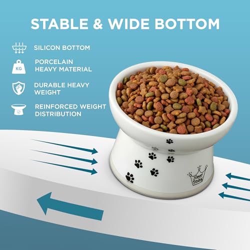 Necoichi Ceramic Raised Cat Food Bowl (Cat / Large)