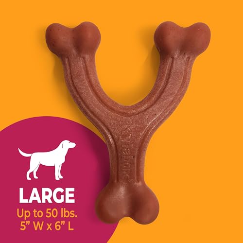 Strong Chew Wishbone Dog Toy (Wishbone / Large)