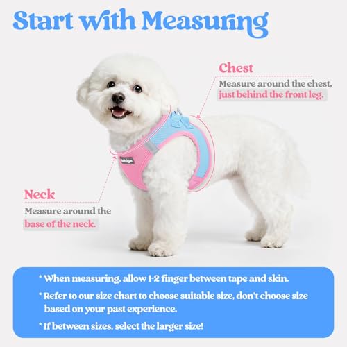 Dog Harness Small Sized and Leash Set (Blue & Light Pink / S (chest: 15.1 - 16.5"))