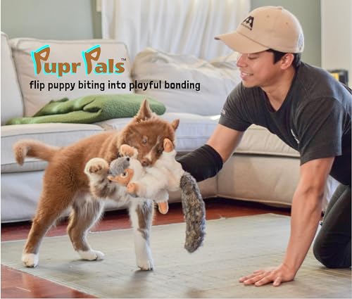 Pupr Pals Dog Toy Puppet with Tough Padding for Safe Interactive Play (Large / Nutjob)