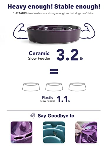 Dog Bowls Slow Feeder Ceramic (Maze Purple / M-1.5 Cups)