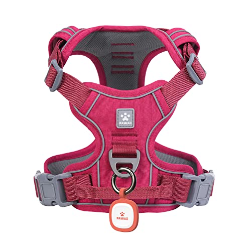 Small Dog Harness (S (Bigger than Normal (Chest: 17"-22'' )) / Wine Red)