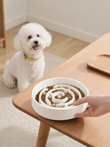 Ceramic Slow Feeder Dog Bowl (White)