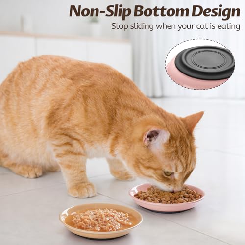 Colorful Cat Food Bowl (Colorful-4 Pack)
