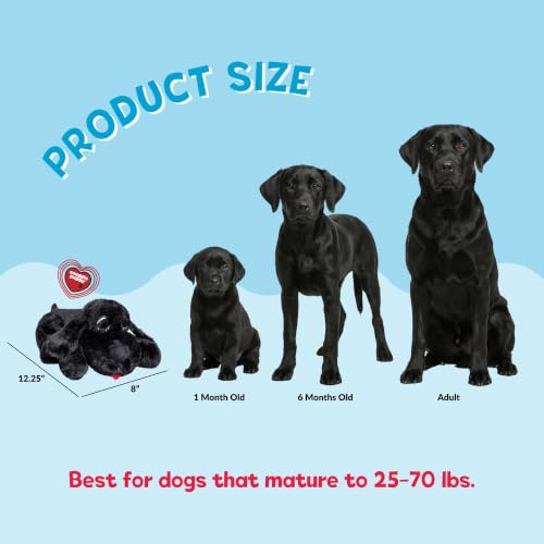 Heartbeat Dog Toy for Puppies (Black / 1 Count (Pack of 1))