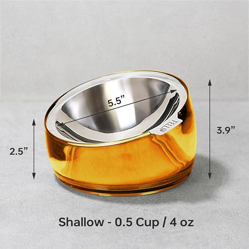 Pet Oblik Whisker Fatigue Cat Food Bowl Raised Stainless Steel Shallow Dish (Gold / 0.5 Cups Shallow Dish)