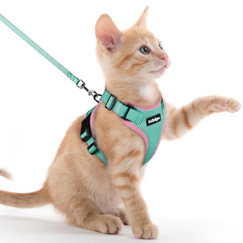 Cat Harness and Leash Set (Xxs / Green & Pink)