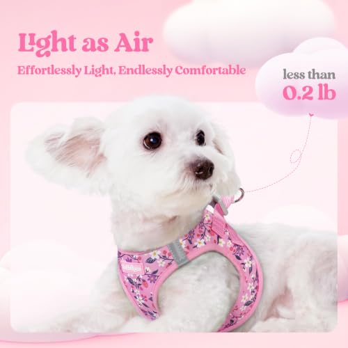 Dog Harness Medium Sized and Leash Set (Pink Floral / M (chest: 16 - 18.5"))