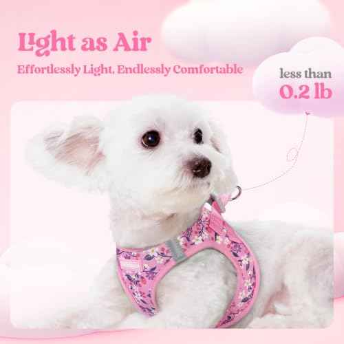 Dog Harness Small Sized and Leash Set (Pink Floral / Xs (chest: 13.3 - 15.5"))