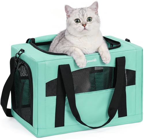 Cat Carrier Stable (Light Green / 16.9"L x 11.0"W x 11.0"H)