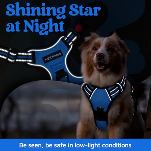 Dog Harness for Large (Blue / Large)
