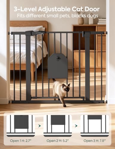 Auto Close Dog Gate with Cat Door (Black / 29-43" Wide, 30" Tall | Standard)