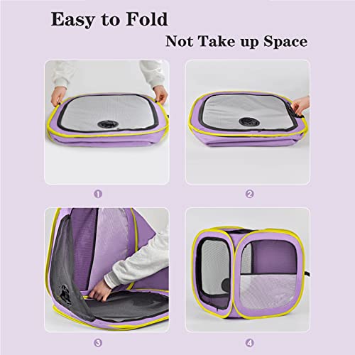 Pet Cat Dog Drying Box (Purple)