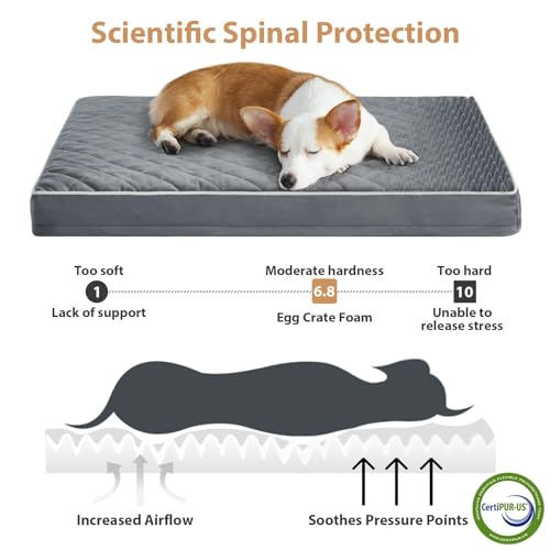 Orthopedic Waterproof XL Dog Bed for Crate Cozy Sleep (Grey / 41"L x 27"W x 4"Th)