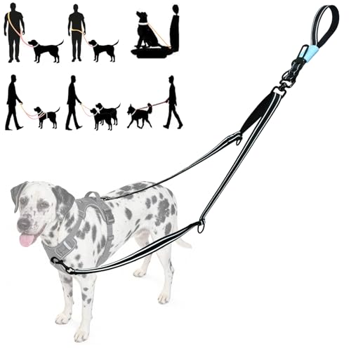 Two Point Control & Hands Free Dog Leash No Pull Black Large Dogs (Black / 5.3FT)